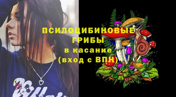 индика Россошь