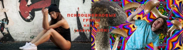 метадон Алексеевка